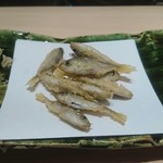 てんぷら　成生 - 