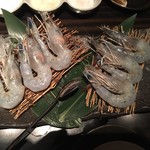 蔵元 - 天使の海老