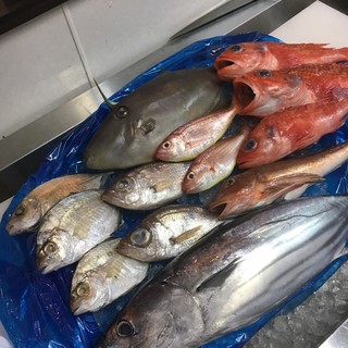 Fresh fish direct from Aomori, Ehime, and Numazu