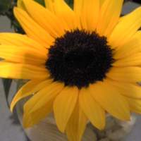 Recette - 