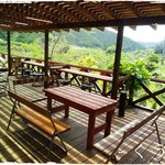 パラダイス カフェ - 