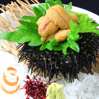 〈根室〉生うにお造り