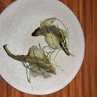 TACUBO - 