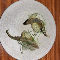 TACUBO - 