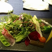 サンタ・マリア・ノヴェッラ・ティサネリーア 京都店 - 25種の野菜とハーブのサラダ