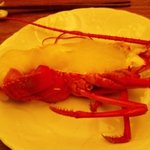 緒方 - 伊勢海老のかぶら餡かけ