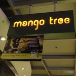 Mango Tree - 