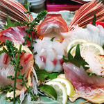 Sengyo Yakitori Sakasu - 当店名物！リーズナブルで日替わり珍魚刺し盛り。オニカサゴ、コチ、ホウボウ、アイナメ、カワハギ、黒ムツ、ヤガラ、ハタなど希少なお魚が♪