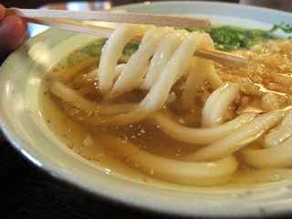Serufu Udon Yama - 麺は太め