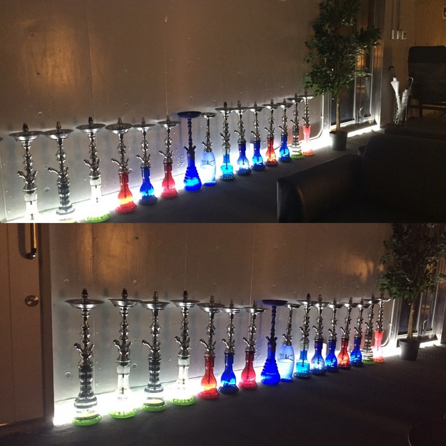 Sweet Camel  photo 3