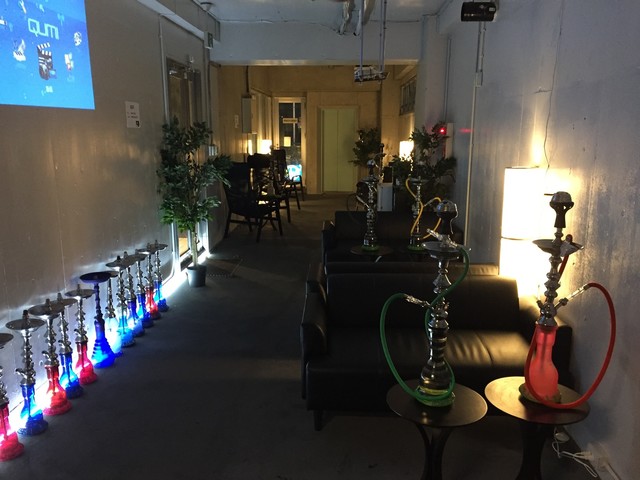 Sweet Camel  photo 2