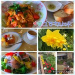 Garden cafe eucalitto - 