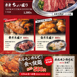 炭火ホルモン焼き まるかん_0