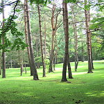 Minamigaoka Bijutsukan Sabou - 見事なお庭