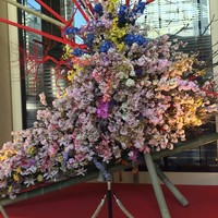 リュクス ダイニング ハプナ - 