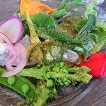 オステリア セーザモ - 前菜の野菜達
