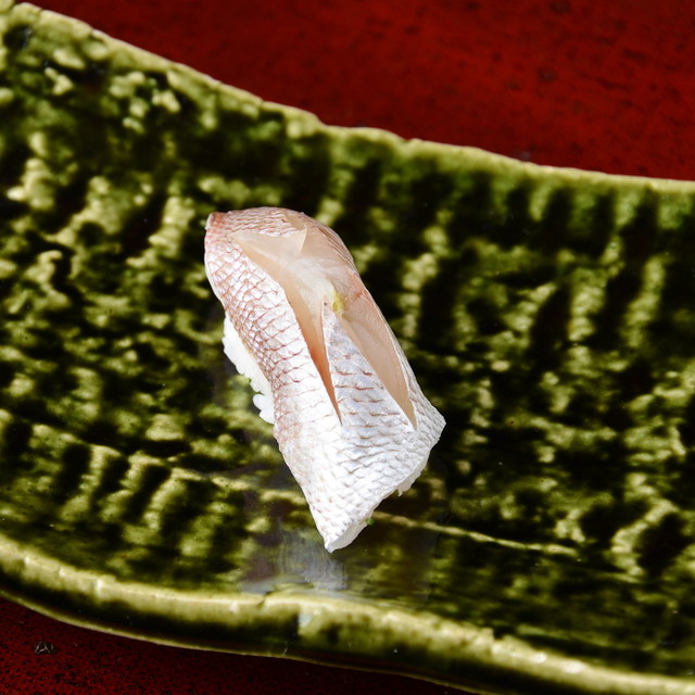 东桜 瑞穂 - 春子鲷