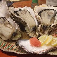 魚竹 - 