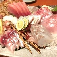 魚竹 - 