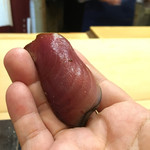 初音鮨 - （2017年5月）カツオ 背(^.^)