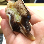 初音鮨 - （2017年5月）トリ貝！