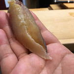 初音鮨 - （2017年5月）アジ