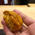 初音鮨 - （2017年5月）ムラサキウニ〜