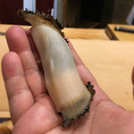 初音鮨 - （2017年5月）大原の黒鮑(^.^)