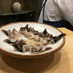 初音鮨 - （2017年5月）トリ貝