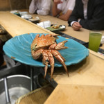 初音鮨 - （2017年5月）毛蟹〜