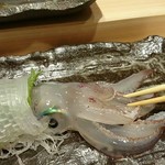 寿司割烹 魚紋 - 生きとる‼♪ヽ(´▽｀)/