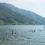湖里庵 - び