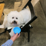 PACE - アンジェリーナのドリンク