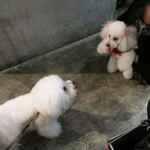 PACE - お誕生日おめでとう〜♬