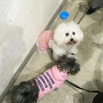 PACE - シャトーブリアンと〜♡