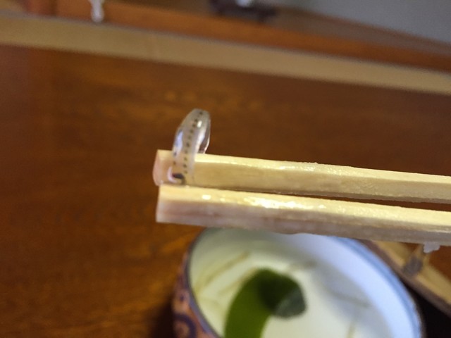 椿自然園 阿波橘 旅館 食べログ 椿自然園 阿波橘 旅館 食べログ