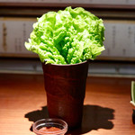 松庵 - サンチュ