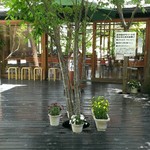 トラットリア プリモ - 