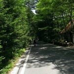 トラットリア プリモ - 