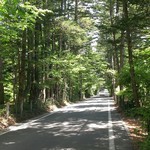 トラットリア プリモ - 