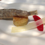 ラ・ボッテガ・ゴローザ - 目光のフリット