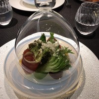 Élan - 