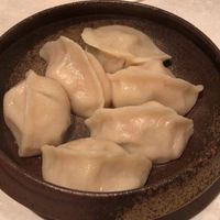 CINA New Modern Chinese - 手包み水餃子
