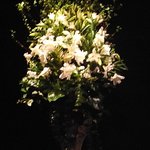 TOUR D'ARGENT - 2011年1月婚礼用の白い装花