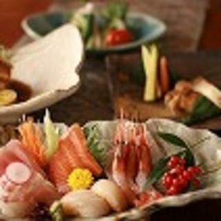 どんぐりと山猫の森_0