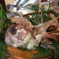 魚めし 竹亭 - 本日のお魚