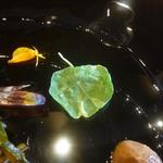 baron - ナスタチューム