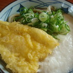 Marugame Seimen - とろろぶっかけ＋キスの天ぷら