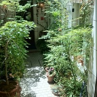 中國名菜 龍坊 代官山店 - 