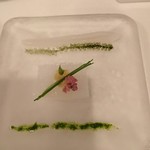 サーラ アマービレ - カルパッチョ